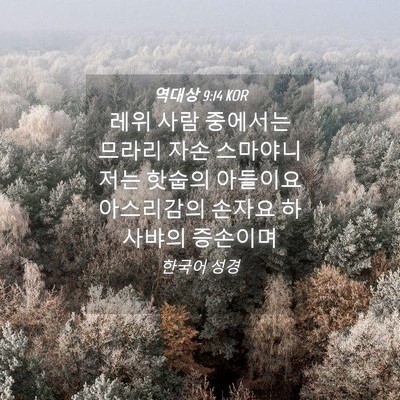 Picture 04 - 역대상 9:14 KOR - 레위 사람 중에서는 므라리 자손 - Bible Verse Picture