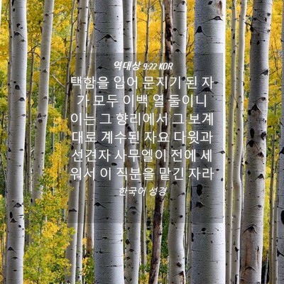 Picture 04 - 역대상 9:22 KOR - 택함을 입어 문지기 된 자가 모두 - Bible Verse Picture