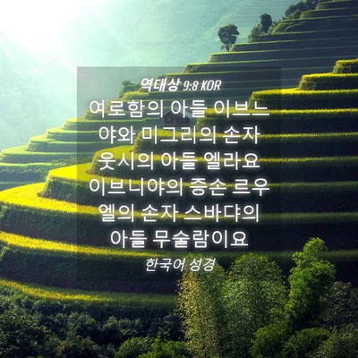 Picture 04 - 역대상 9:8 KOR - 여로함의 아들 이브느야와 미그리의 - Bible Verse Picture