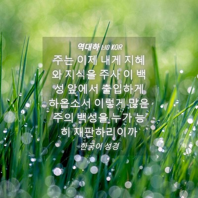 Picture 04 - 역대하 1:10 KOR - 주는 이제 내게 지혜와 지식을 주사 - Bible Verse Picture