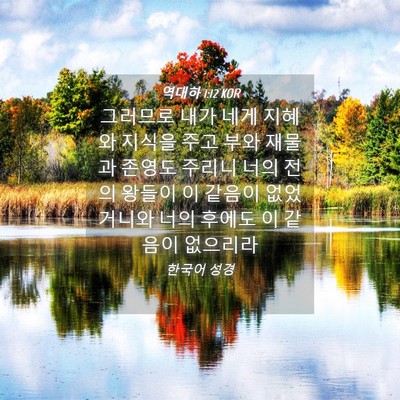 Picture 04 - 역대하 1:12 KOR - 그러므로 내가 네게 지혜와 지식을 - Bible Verse Picture