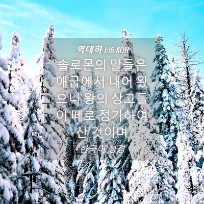 Picture 04 - 역대하 1:16 KOR - 솔로몬의 말들은 애굽에서 내어 - Bible Verse Picture