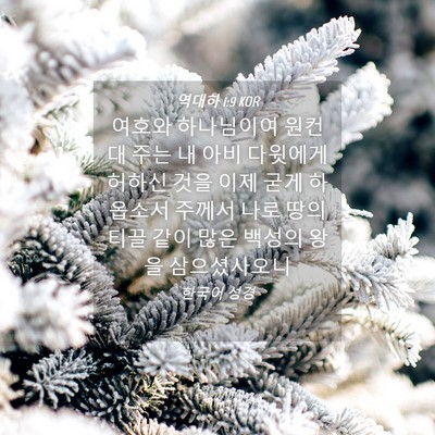 Picture 04 - 역대하 1:9 KOR - 여호와 하나님이여 원컨대 주는 내 - Bible Verse Picture
