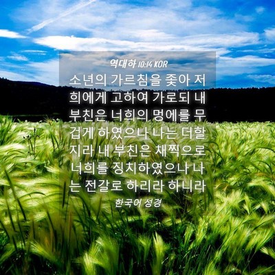 Picture 04 - 역대하 10:14 KOR - 소년의 가르침을 좇아 저희에게 - Bible Verse Picture