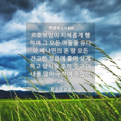 Picture 04 - 역대하 11:23 KOR - 르호보암이 지혜롭게 행하여 그 모든 - Bible Verse Picture