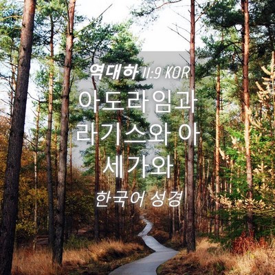 Picture 04 - 역대하 11:9 KOR - 아도라임과 라기스와 - Bible Verse Picture