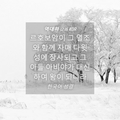 Picture 04 - 역대하 12:16 KOR - 르호보암이 그 열조와 함께 자매 - Bible Verse Picture