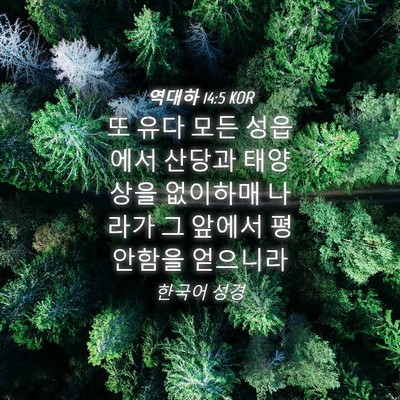 Picture 04 - 역대하 14:5 KOR - 또 유다 모든 성읍에서 산당과 - Bible Verse Picture