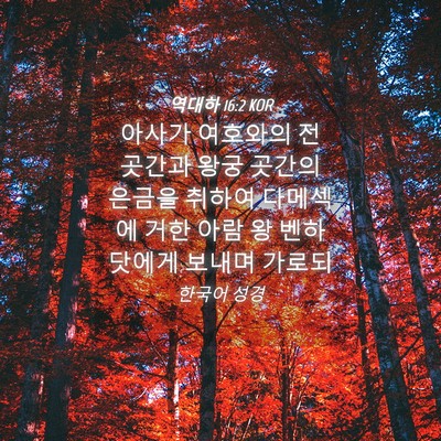 Picture 04 - 역대하 16:2 KOR - 아사가 여호와의 전 곳간과 왕궁 - Bible Verse Picture