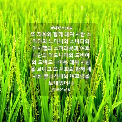 Picture 04 - 역대하 17:8 KOR - 또 저희와 함께 레위 사람 스마야와 - Bible Verse Picture