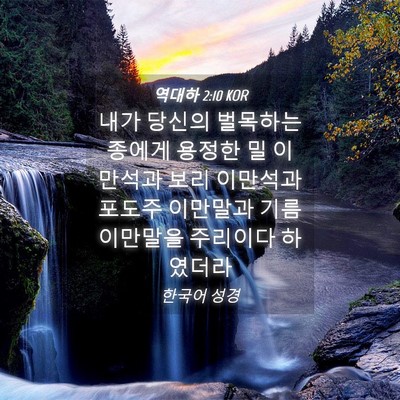 Picture 04 - 역대하 2:10 KOR - 내가 당신의 벌목하는 종에게 용정한 - Bible Verse Picture