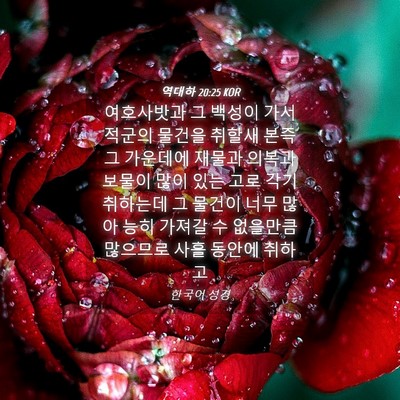 Picture 04 - 역대하 20:25 KOR - 여호사밧과 그 백성이 가서 적군의 - Bible Verse Picture