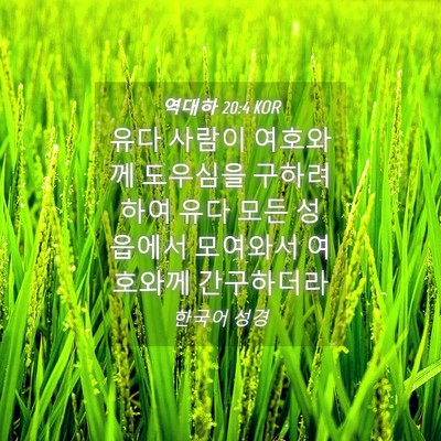 Picture 04 - 역대하 20:4 KOR - 유다 사람이 여호와께 도우심을 - Bible Verse Picture