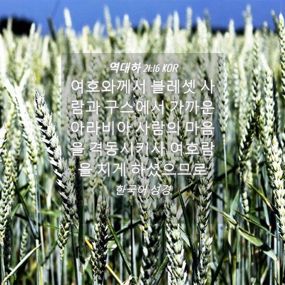 Picture 04 - 역대하 21:16 KOR - 여호와께서 블레셋 사람과 구스에서 - Bible Verse Picture