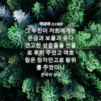 Picture 04 - 역대하 21:3 KOR - 그 부친이 저희에게는 은금과 보물과 - Bible Verse Picture