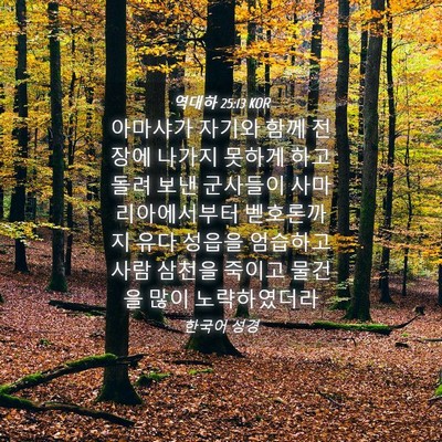 Picture 04 - 역대하 25:13 KOR - 아마샤가 자기와 함께 전장에 나가지 - Bible Verse Picture