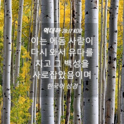 Picture 04 - 역대하 28:17 KOR - 이는 에돔 사람이 다시 와서 유다를 - Bible Verse Picture