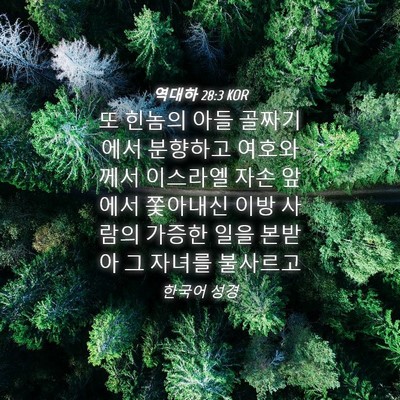 Picture 04 - 역대하 28:3 KOR - 또 힌놈의 아들 골짜기에서 분향하고 - Bible Verse Picture