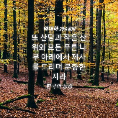Picture 04 - 역대하 28:4 KOR - 또 산당과 작은 산위와 모든 푸른 - Bible Verse Picture