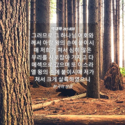 Picture 04 - 역대하 28:5 KOR - 그러므로 그 하나님 여호와께서 아람 - Bible Verse Picture