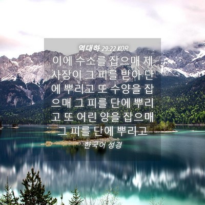 Picture 04 - 역대하 29:22 KOR - 이에 수소를 잡으매 제사장이 그 - Bible Verse Picture