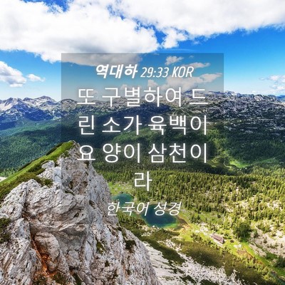 Picture 04 - 역대하 29:33 KOR - 또 구별하여 드린 소가 육백이요 - Bible Verse Picture