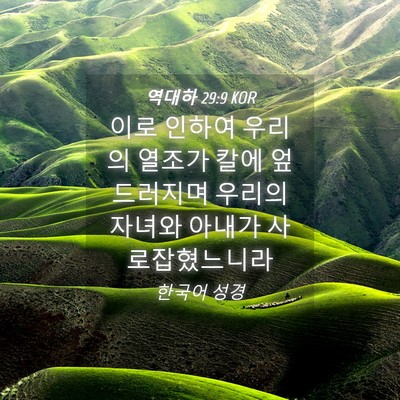 Picture 04 - 역대하 29:9 KOR - 이로 인하여 우리의 열조가 칼에 - Bible Verse Picture
