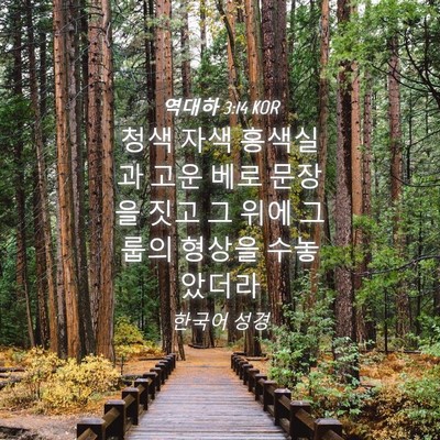 Picture 04 - 역대하 3:14 KOR - 청색 자색 홍색실과 고운 베로 - Bible Verse Picture