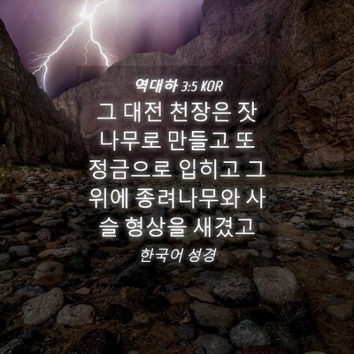 Picture 04 - 역대하 3:5 KOR - 그 대전 천장은 잣나무로 만들고 또 - Bible Verse Picture
