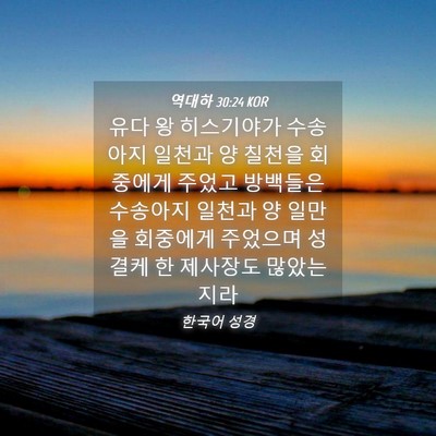 Picture 04 - 역대하 30:24 KOR - 유다 왕 히스기야가 수송아지 일천과 - Bible Verse Picture