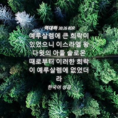 Picture 04 - 역대하 30:26 KOR - 예루살렘에 큰 희락이 있었으니 - Bible Verse Picture