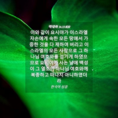 Picture 04 - 역대하 34:33 KOR - 이와 같이 요시야가 이스라엘 - Bible Verse Picture