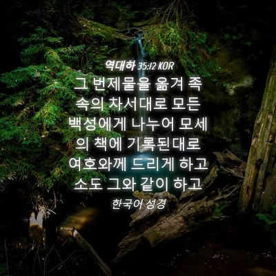 Picture 04 - 역대하 35:12 KOR - 그 번제물을 옮겨 족속의 차서대로 - Bible Verse Picture