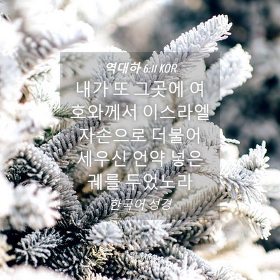 Picture 04 - 역대하 6:11 KOR - 내가 또 그곳에 여호와께서 이스라엘 - Bible Verse Picture