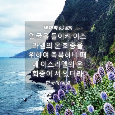 Picture 04 - 역대하 6:3 KOR - 얼굴을 돌이켜 이스라엘의 온 회중을 - Bible Verse Picture