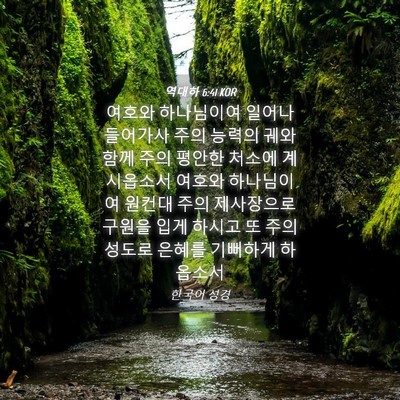 Picture 04 - 역대하 6:41 KOR - 여호와 하나님이여 일어나 들어가사 - Bible Verse Picture