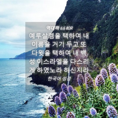 Picture 04 - 역대하 6:6 KOR - 예루살렘을 택하여 내 이름을 거기 - Bible Verse Picture
