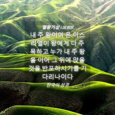 Picture 04 - 열왕기상 1:20 KOR - 내 주 왕이여 온 이스라엘이 왕에게 - Bible Verse Picture