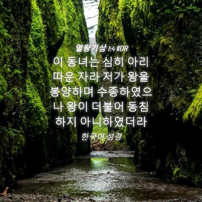 Picture 04 - 열왕기상 1:4 KOR - 이 동녀는 심히 아리따운 자라 저가 - Bible Verse Picture