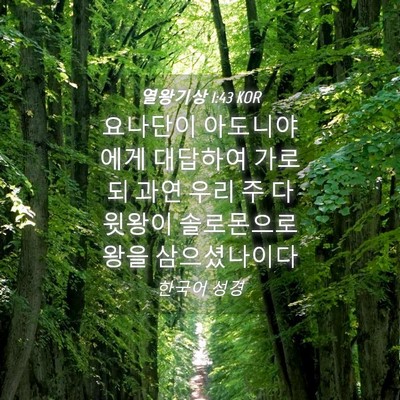 Picture 04 - 열왕기상 1:43 KOR - 요나단이 아도니야에게 대답하여 - Bible Verse Picture