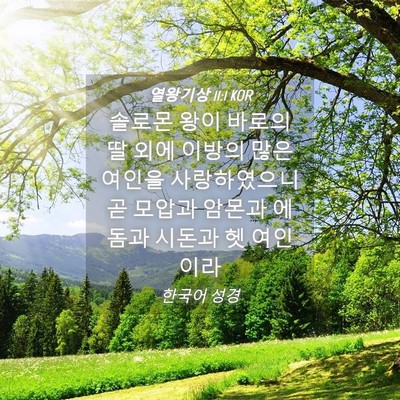 Picture 04 - 열왕기상 11:1 KOR - 솔로몬 왕이 바로의 딸 외에 이방의 - Bible Verse Picture