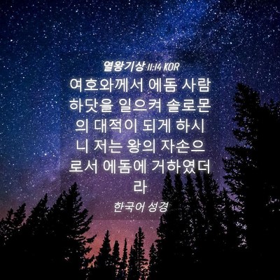 Picture 04 - 열왕기상 11:14 KOR - 여호와께서 에돔 사람 하닷을 일으켜 - Bible Verse Picture