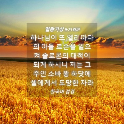 Picture 04 - 열왕기상 11:23 KOR - 하나님이 또 엘리아다의 아들 르손을 - Bible Verse Picture