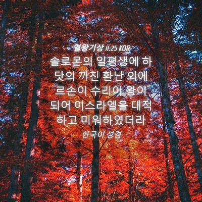 Picture 04 - 열왕기상 11:25 KOR - 솔로몬의 일평생에 하닷의 끼친 환난 - Bible Verse Picture