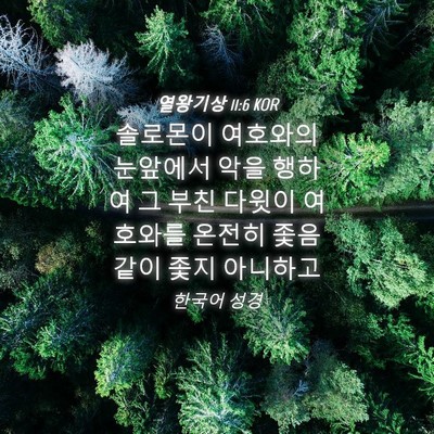 Picture 04 - 열왕기상 11:6 KOR - 솔로몬이 여호와의 눈앞에서 악을 - Bible Verse Picture