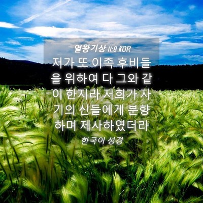 Picture 04 - 열왕기상 11:8 KOR - 저가 또 이족 후비들을 위하여 다 - Bible Verse Picture