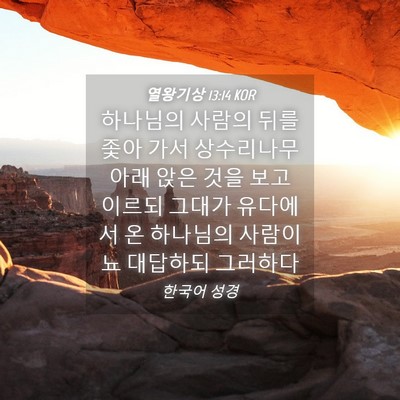 Picture 04 - 열왕기상 13:14 KOR - 하나님의 사람의 뒤를 좇아 가서 - Bible Verse Picture