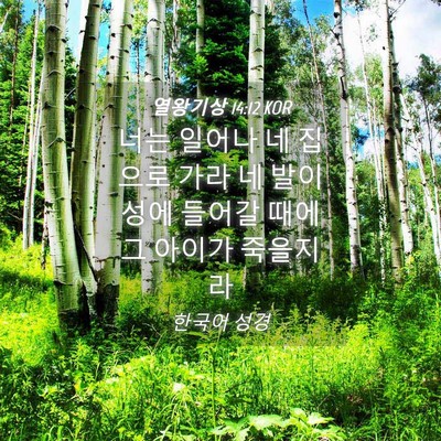 Picture 04 - 열왕기상 14:12 KOR - 너는 일어나 네 집으로 가라 네 발이 - Bible Verse Picture