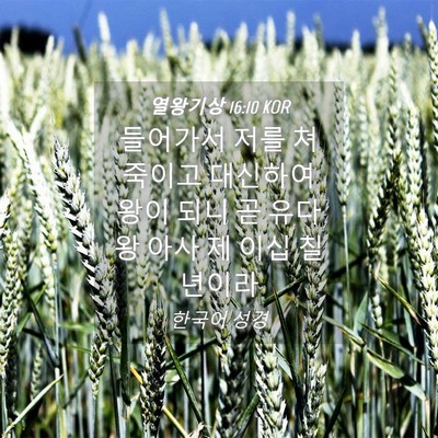 Picture 04 - 열왕기상 16:10 KOR - 들어가서 저를 쳐 죽이고 대신하여 - Bible Verse Picture