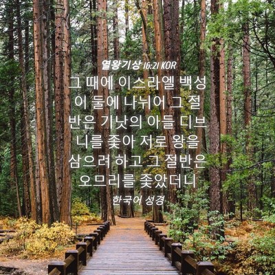 Picture 04 - 열왕기상 16:21 KOR - 그 때에 이스라엘 백성이 둘에 - Bible Verse Picture